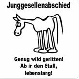 genug-wild-geritten-ab-in-den-stall-lebenslang